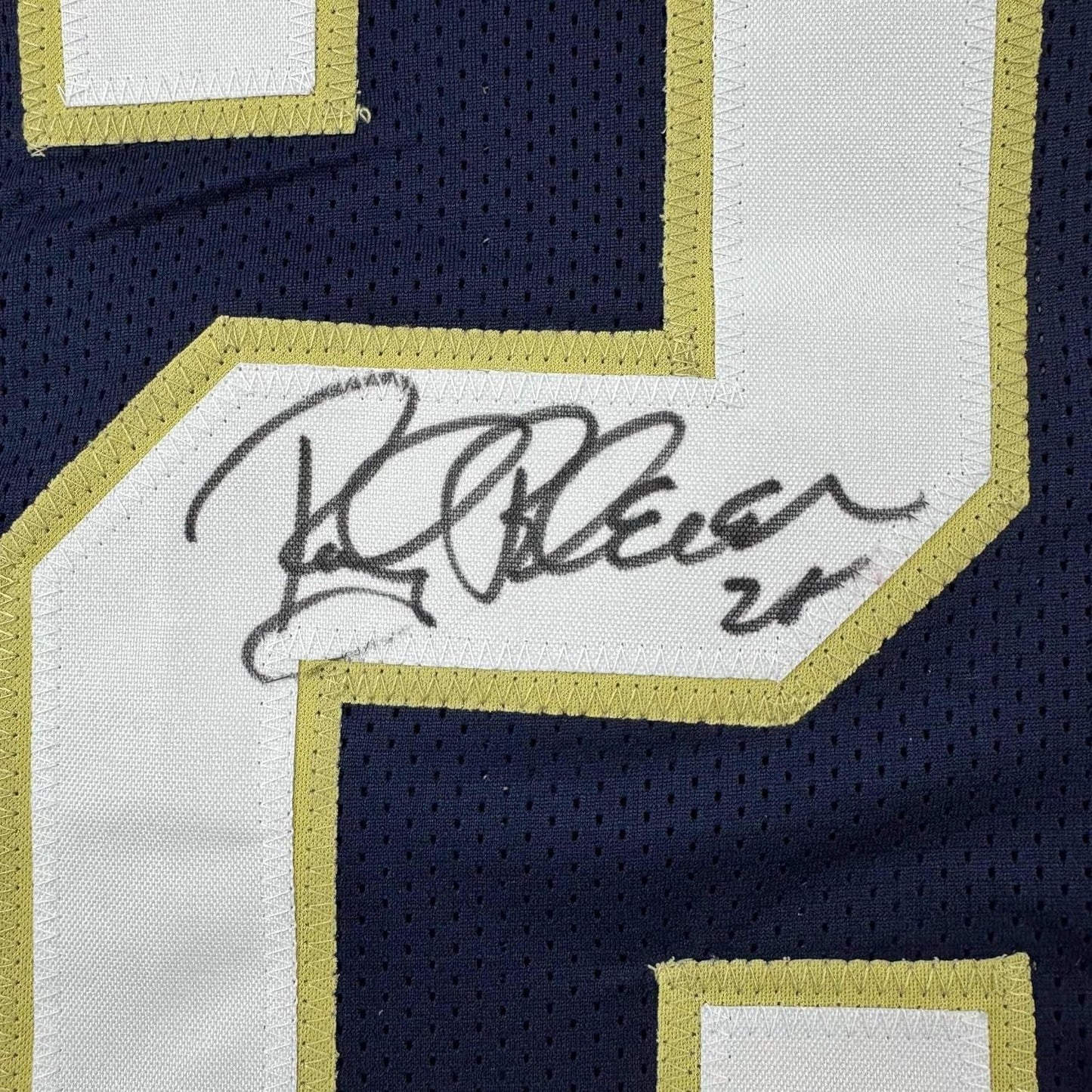 Framed Autographed/Signed Rocky Bleier 35x39 Notre Dame Blue College Football Jersey JSA COA