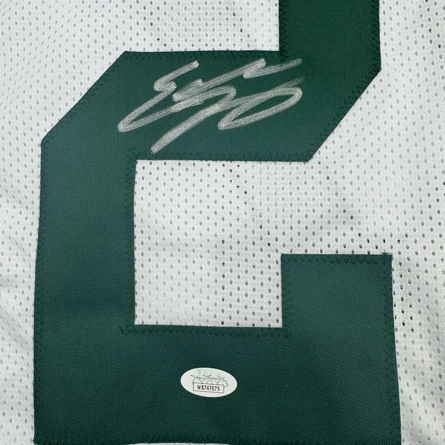 Framed Autographed/Signed Eddie Lacy 35x39 Green Bay White Football Jersey JSA COA