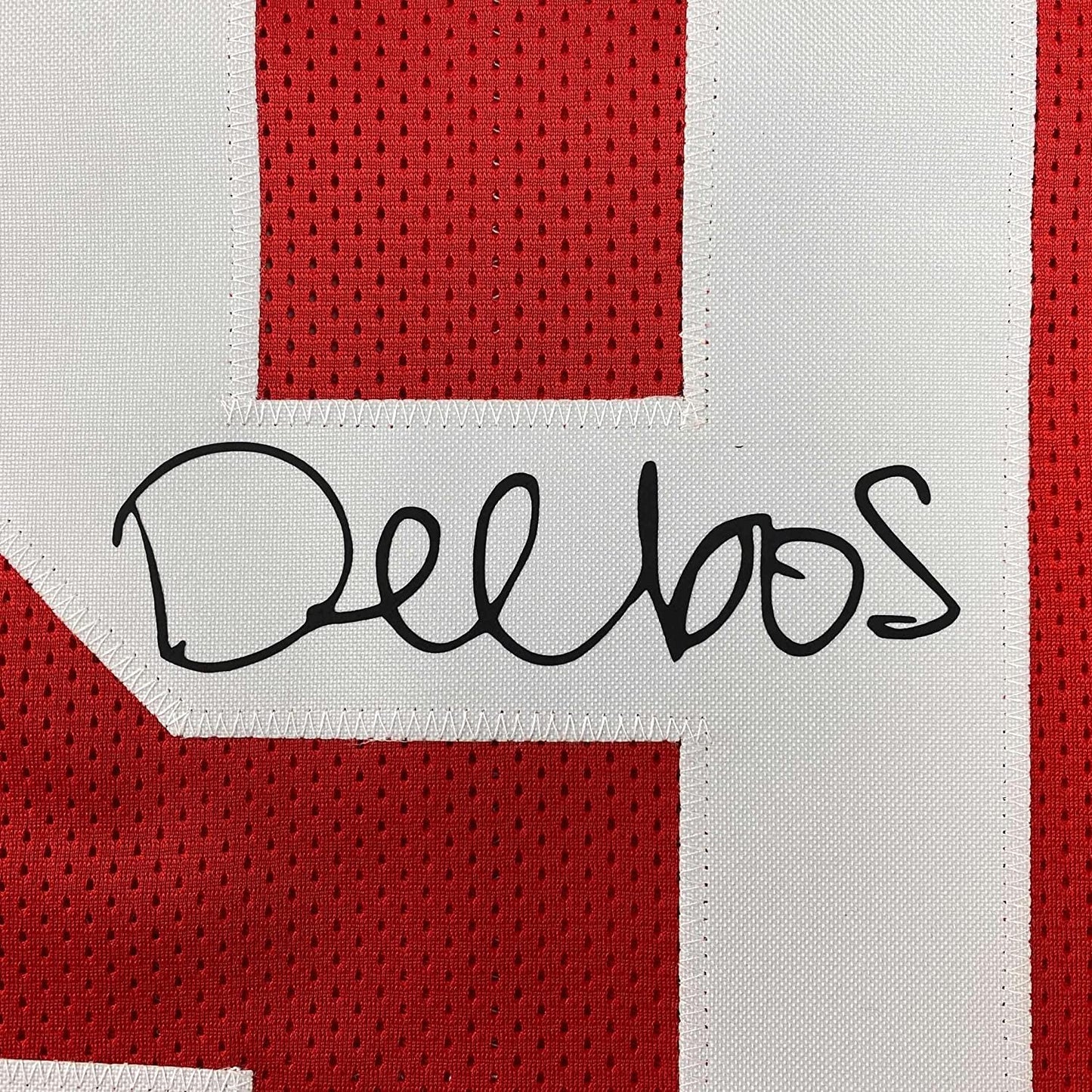Framed Facsimile Autographed Deebo Samuel 35x39 San Francisco Red Reprint Laser Auto Football Jersey