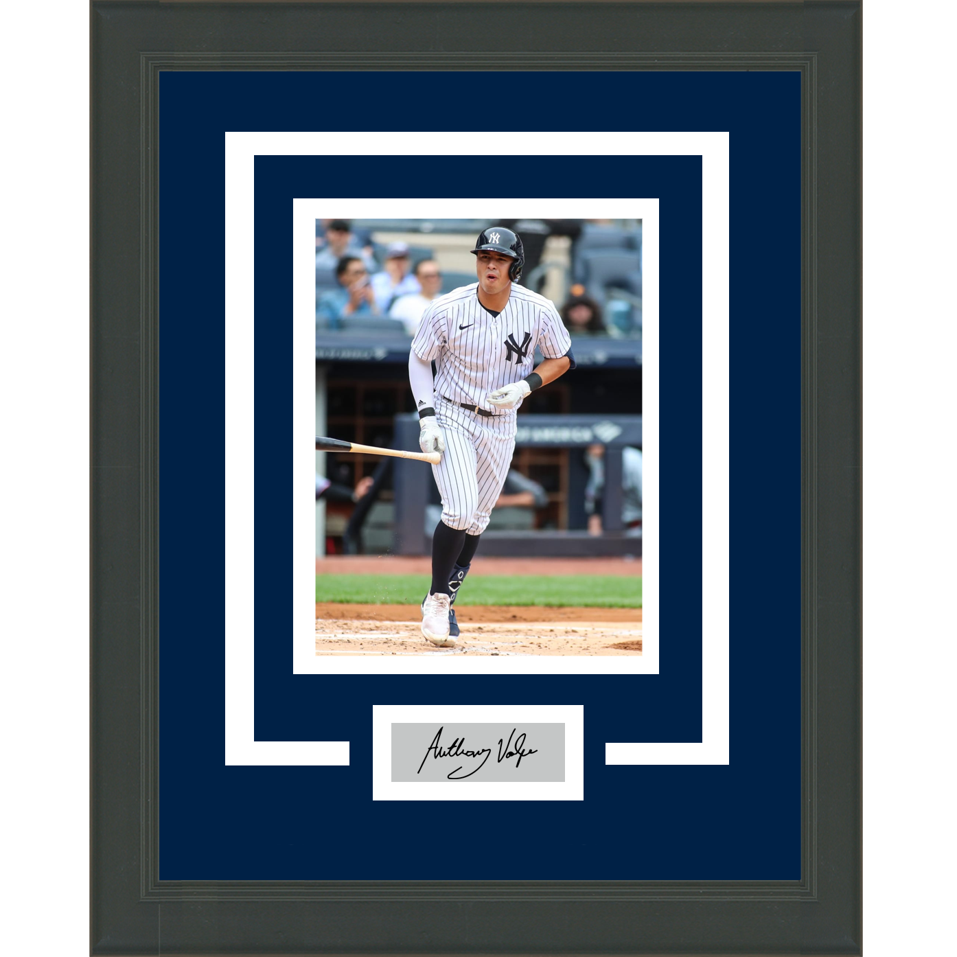 Framed Anthony Volpe Facsimile Laser Engraved Signature Auto New York Yankees 11x14 Baseball Photo