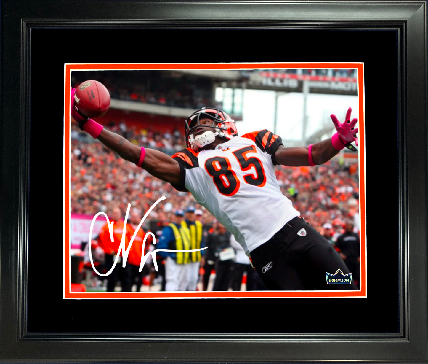 Framed Chad Johnson Ochocinco Cincinnati Bengals Facsimile Laser Engraved Signature Auto 11"x14" Football Photo HOFSM Holo