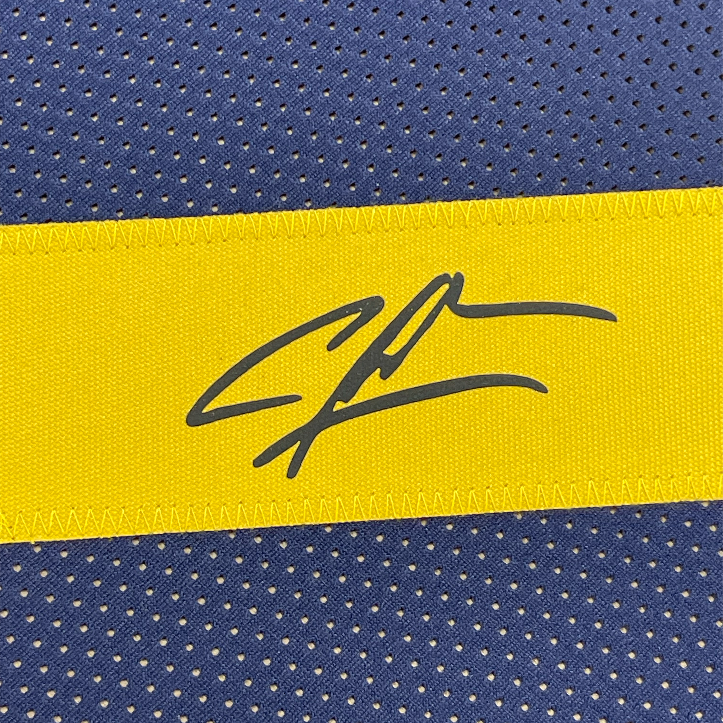Framed Facsimile Autographed Charles Woodson 35x39 Michigan Blue Reprint Laser Auto College Football Jersey Size Men's XL