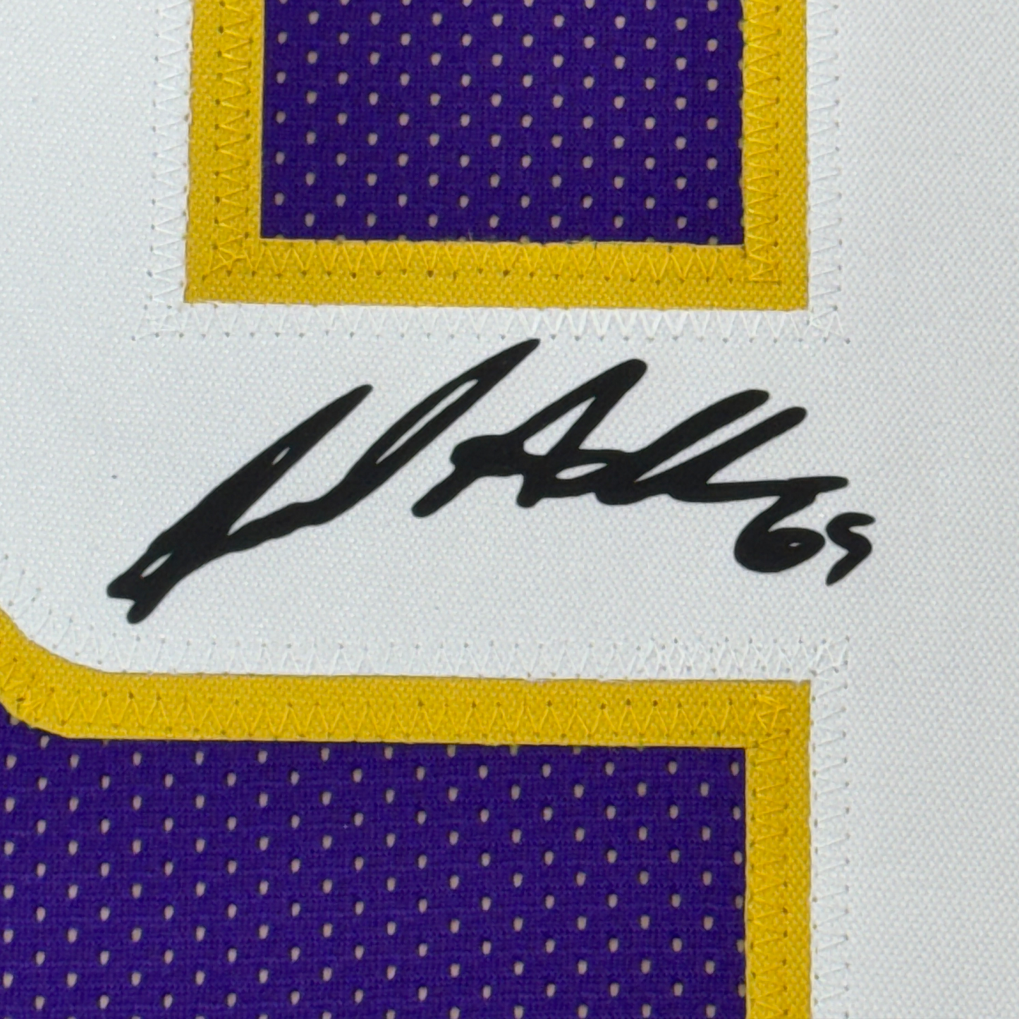 Framed Facsimile Autographed Jared Allen 35x39 Minnesota Purple Reprint Laser Auto Football Jersey