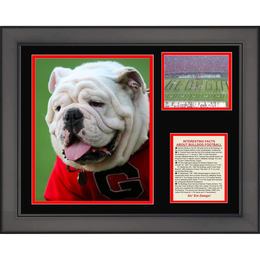 Framed Georgia Bulldog Mascot College Football 11"x14" Three Photo Collage