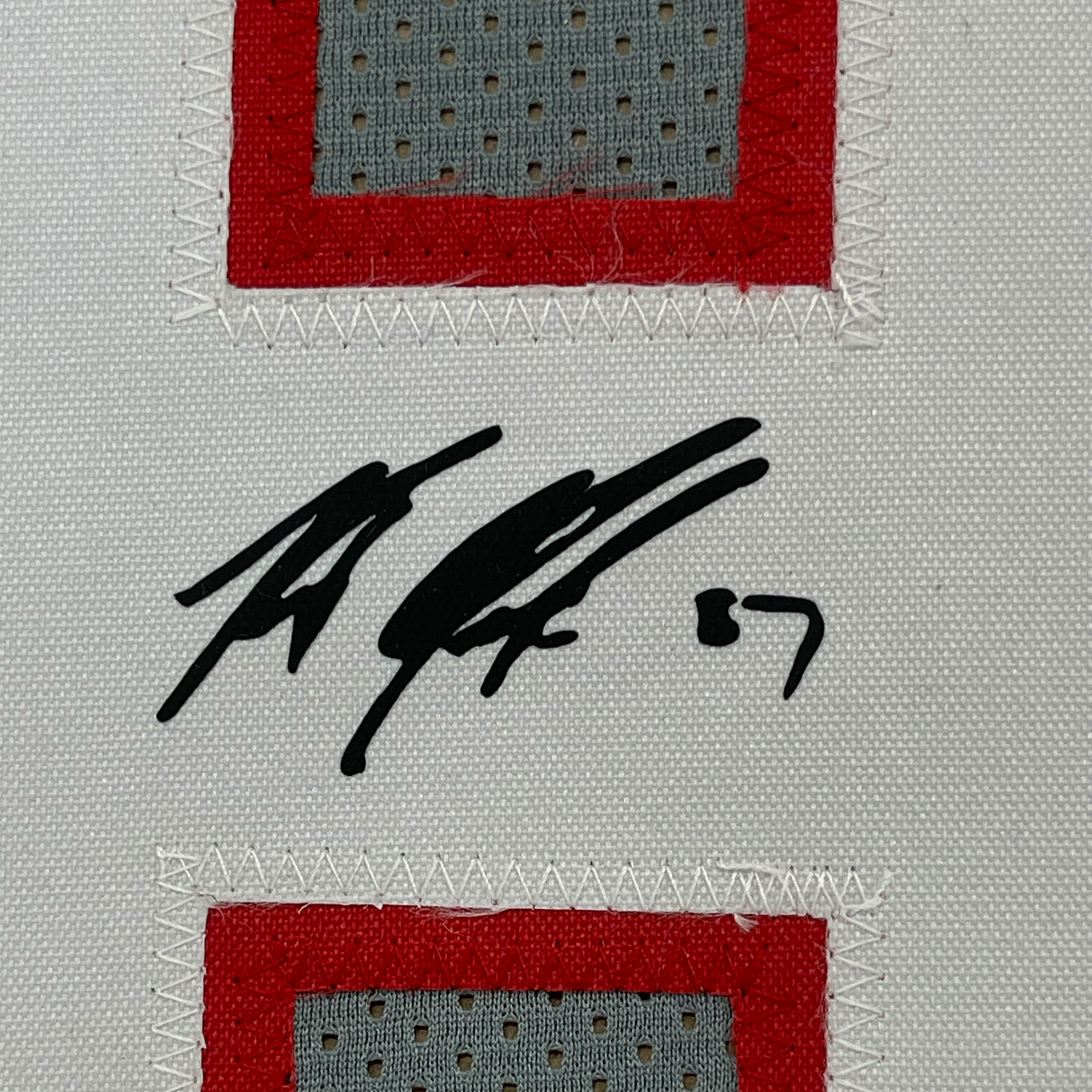 Framed Facsimile Autographed Rob Gronk Gronkowski 35x39 Tampa Bay Grey Pewter Reprint Laser Auto Football