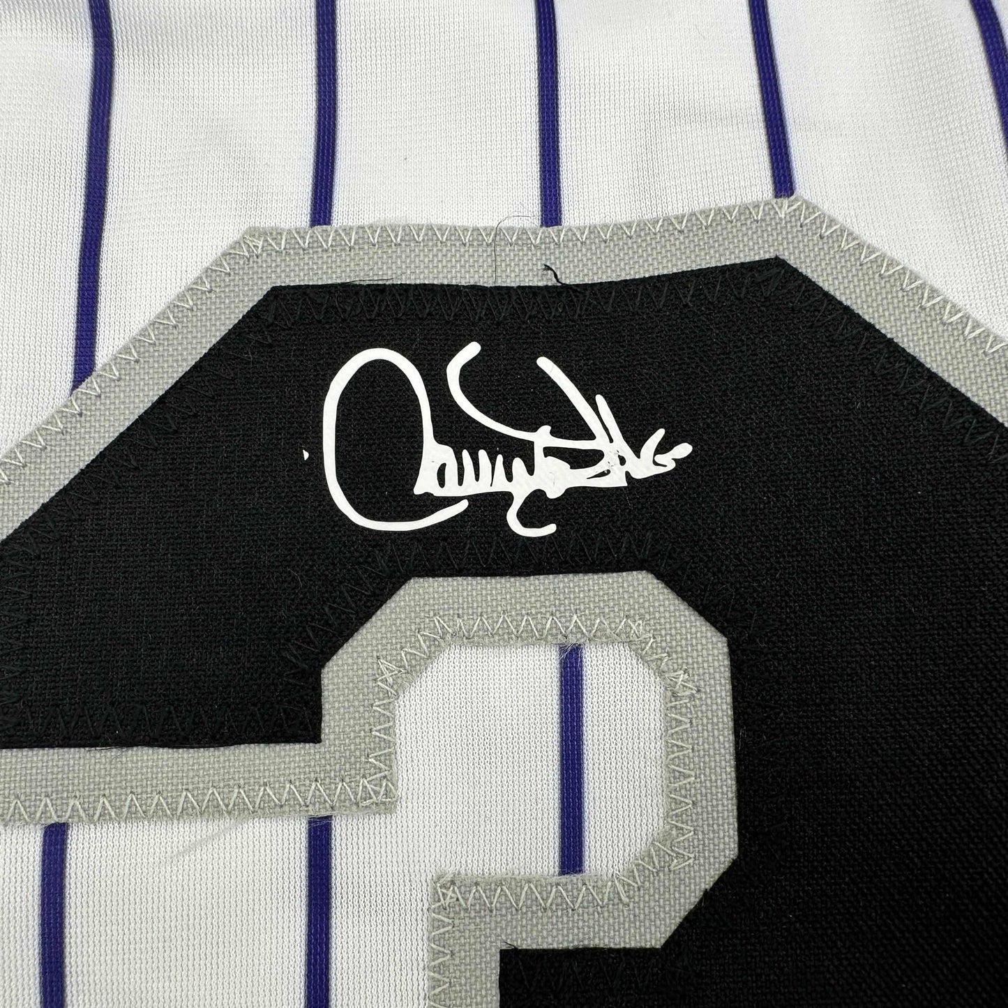 Facsimile Autographed Larry Walker Colorado Pinstripe Reprint Laser Auto Baseball Jersey Size Men's XL