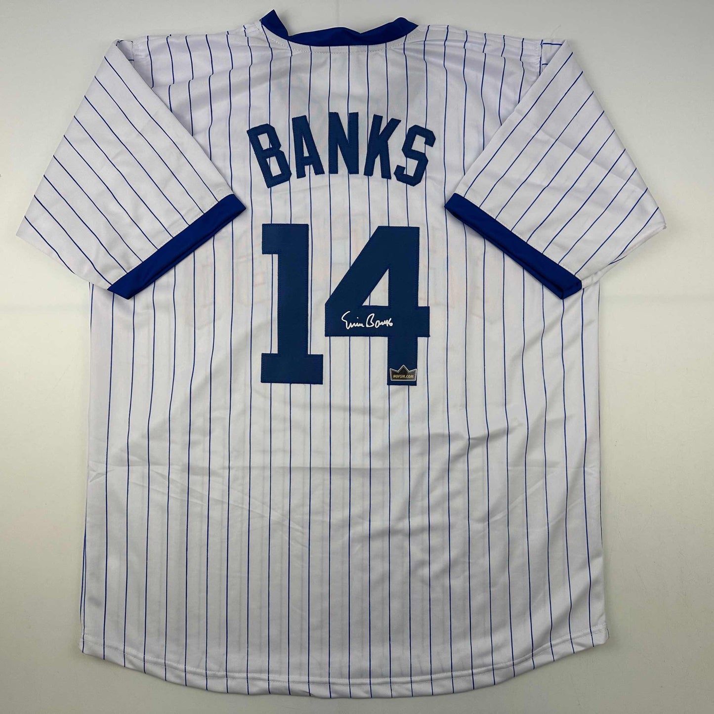 Facsimile Autographed Ernie Banks Chicago Pinstripe Reprint Laser Auto Baseball Jersey Size Men's XL