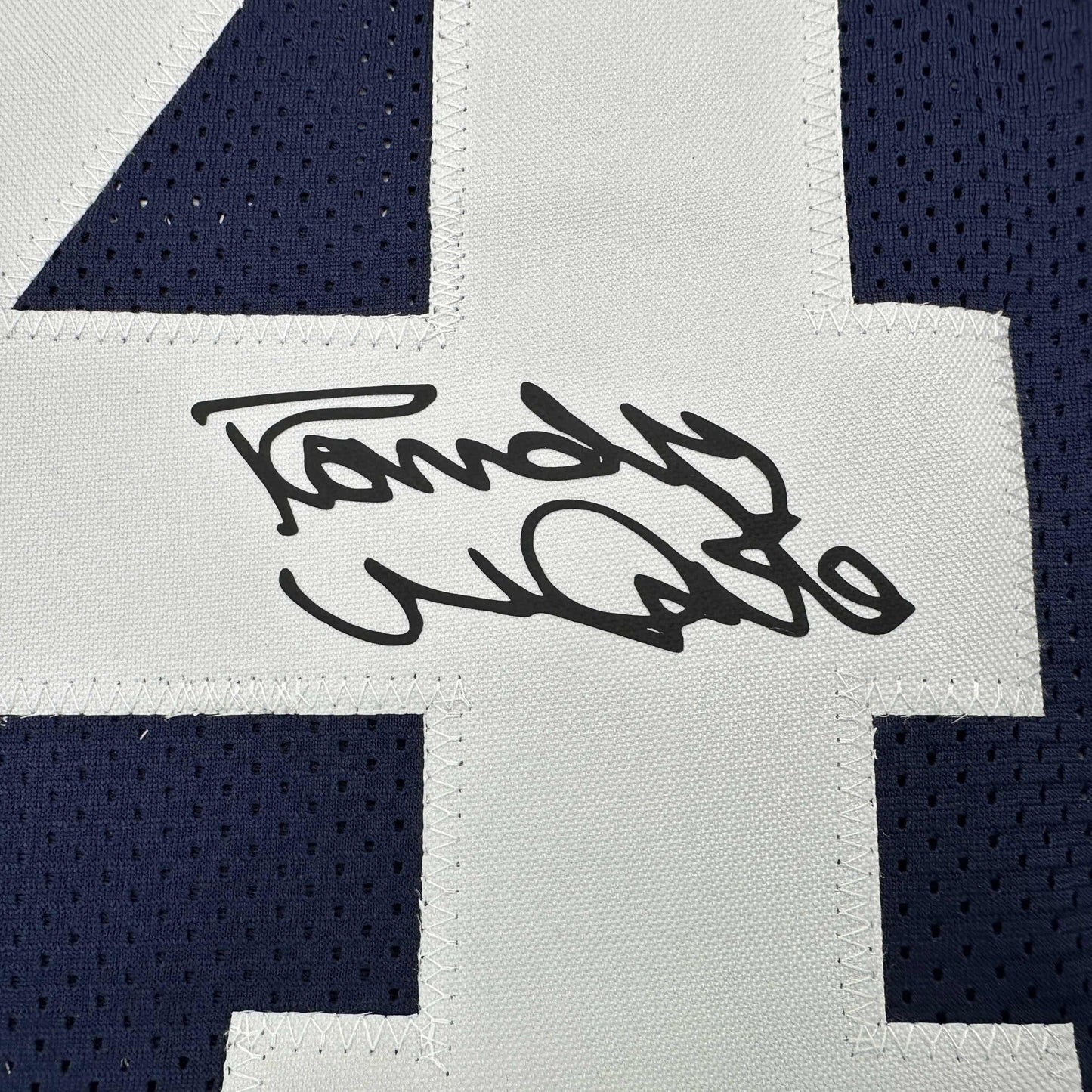 Framed Facsimile Autographed Randy White 35x39 Dallas Thanksgiving Day Reprint Laser Auto Football Jersey