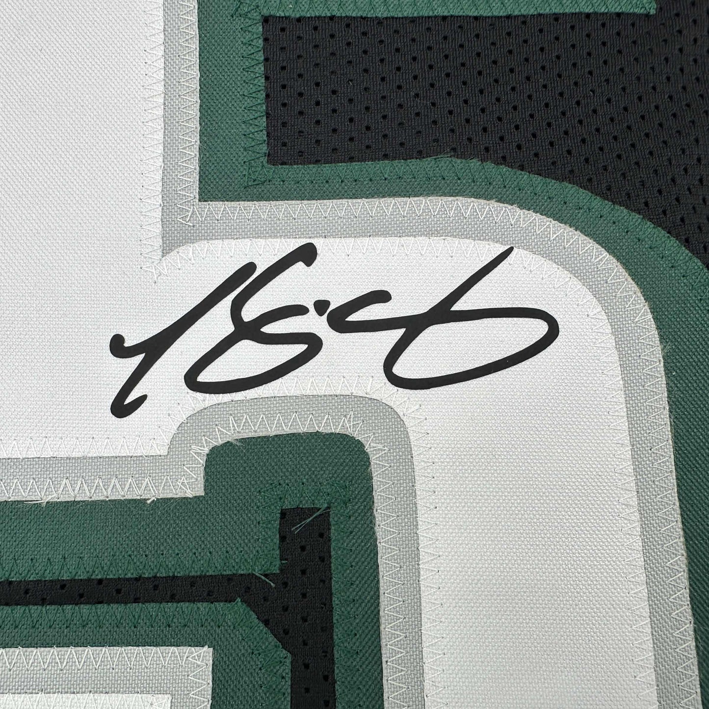 Framed Facsimile Autographed LeSean McCoy 35x39 Philadelphia Black Reprint Laser Auto Football Jersey