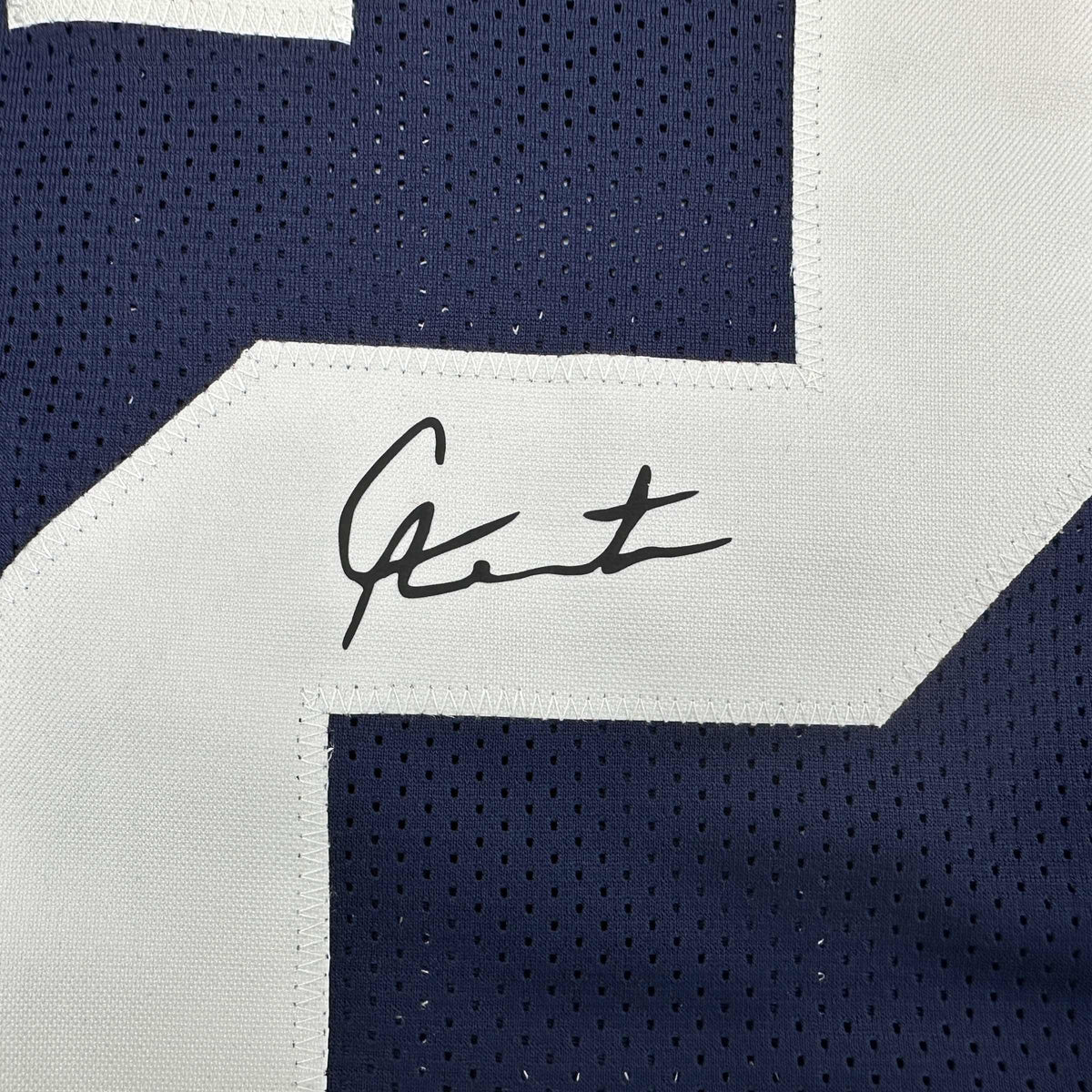 Facsimile Autographed Cam Newton Auburn Blue Reprint Laser Auto College Football Jersey Size Men's XL