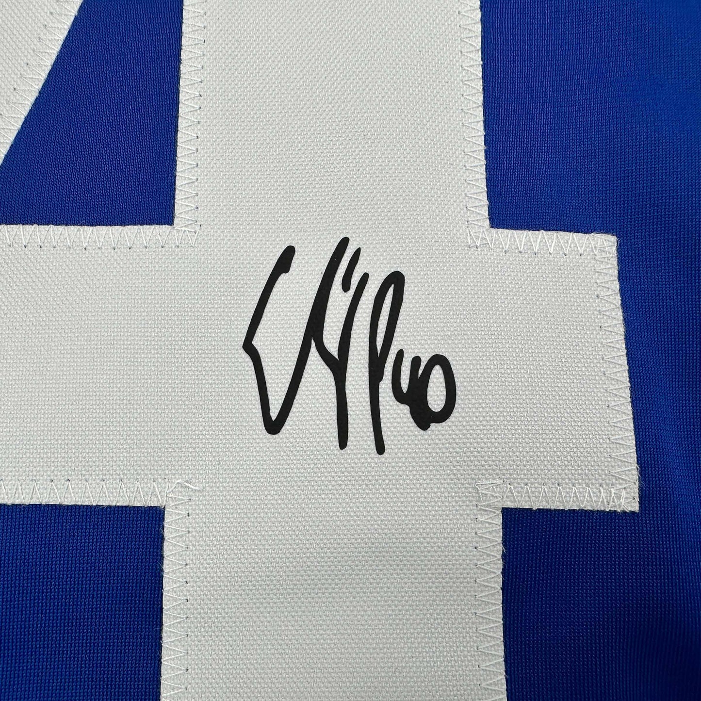 Framed Facsimile Autographed Elias Pettersson 35x39 Vancouver Blue Reprint Laser Auto Hockey Jersey