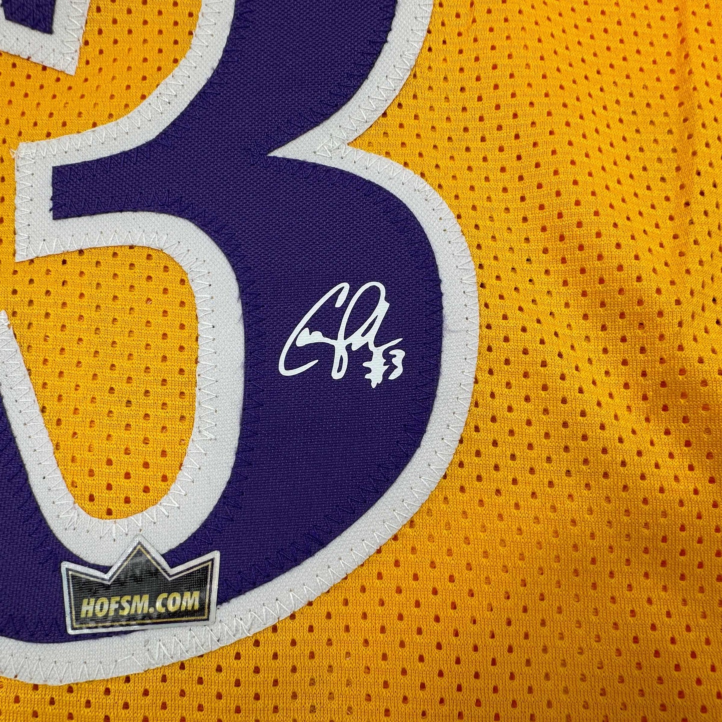 Framed Facsimile Autographed Candace Parker 35x39 Los Angeles LA Yellow Reprint Laser Auto Basketball Jersey