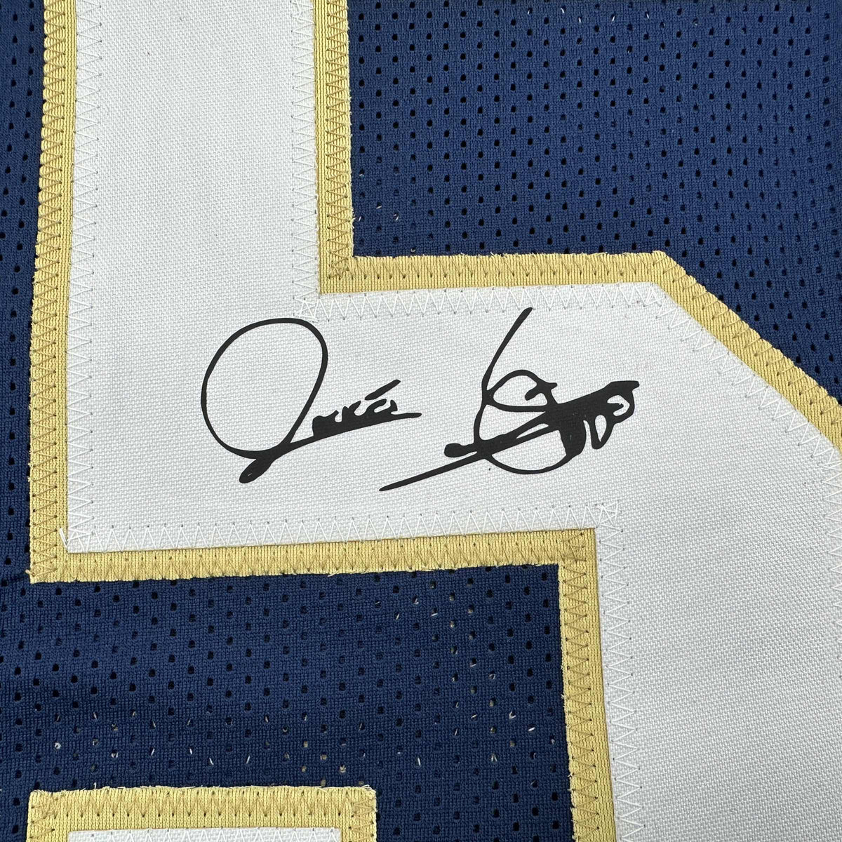 Facsimile Autographed Raghib Rocket Ismail Notre Dame Blue Reprint Laser Auto College Football Jersey Size Men's XL