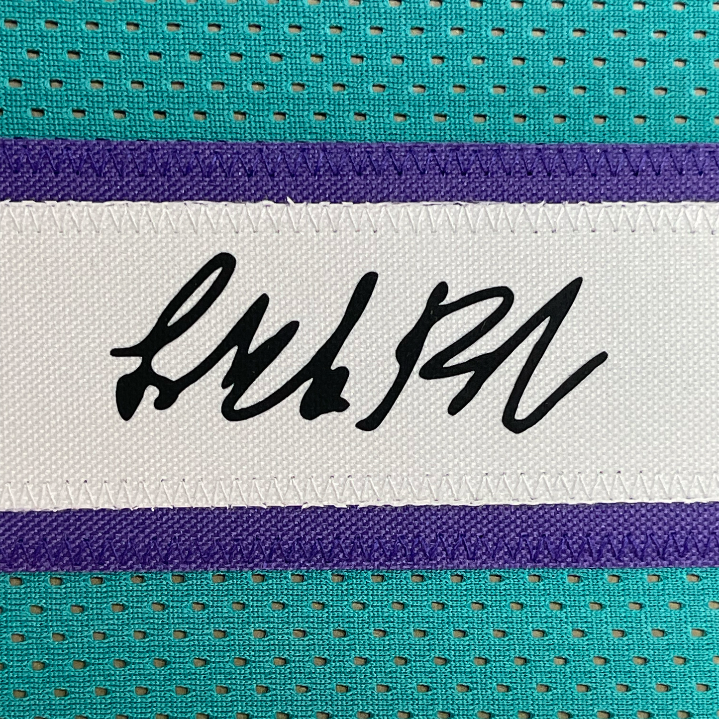 Framed Facsimile Autographed LaMelo Ball 35x39 Charlotte Teal Reprint Laser Auto Basketball Jersey