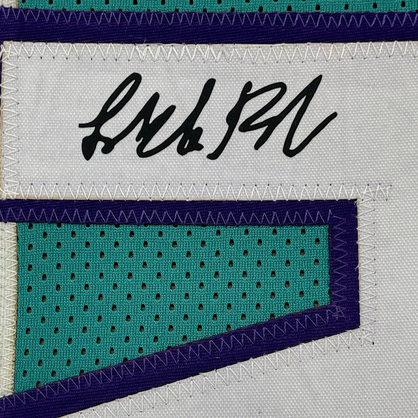 Framed Facsimile Autographed LaMelo Ball 35x39 #2 Rookie Charlotte Teal Reprint Laser Auto Basketball Jersey