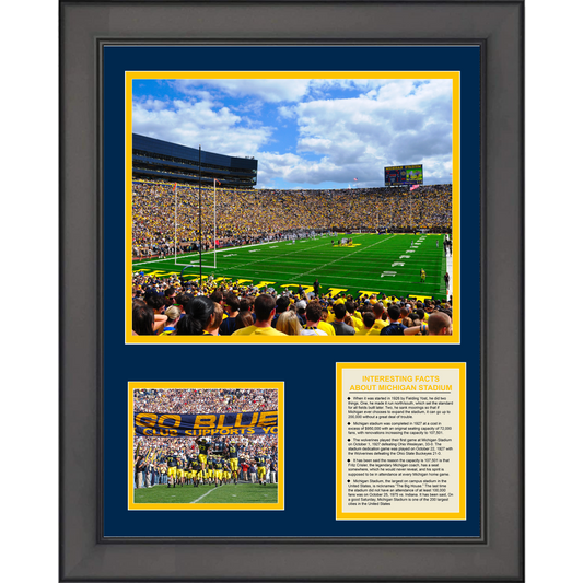 Framed Michigan Wolverines  The Big House  Stadium & Team History 11"x14" College Football Three Photo Collage