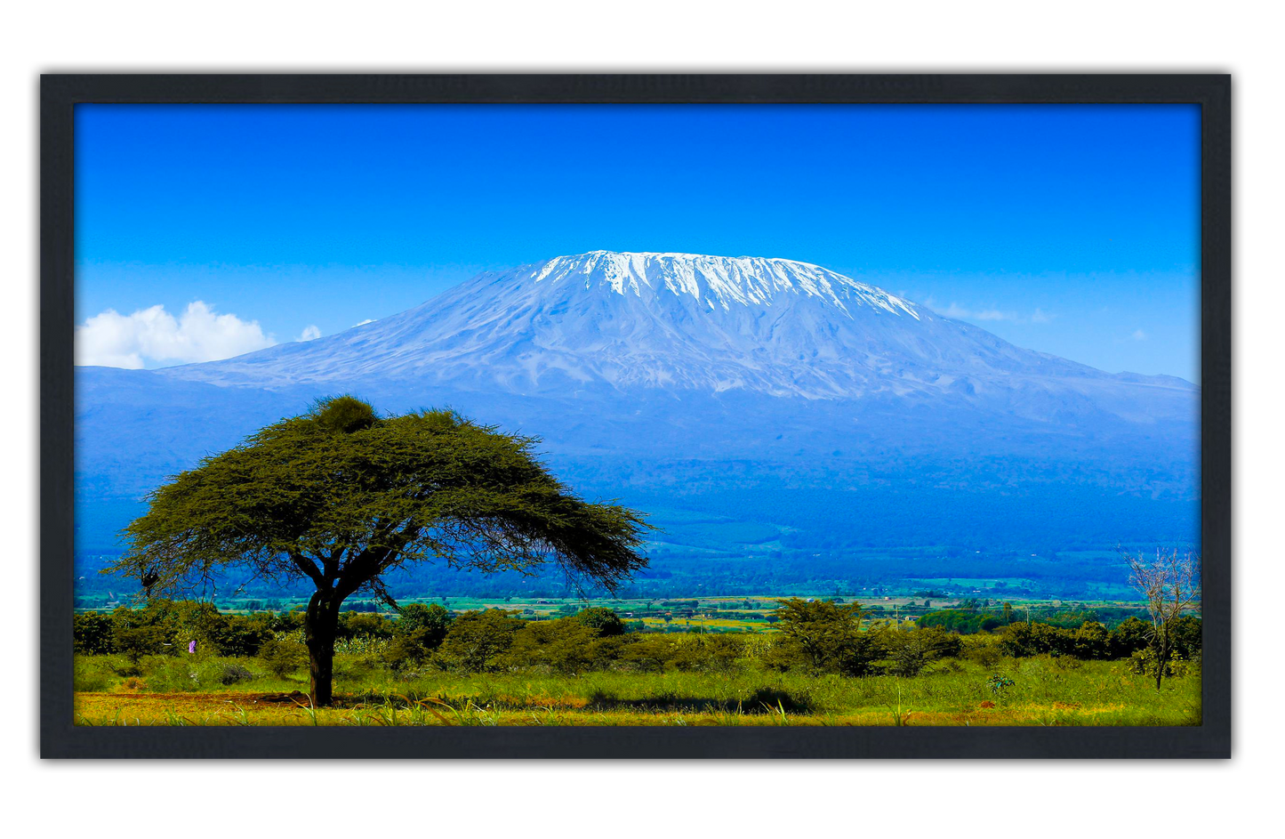 Professionally Framed Mount Kilimanjaro Africa Skyline High-Resolution Panoramic Photo 12x22 Wall Art