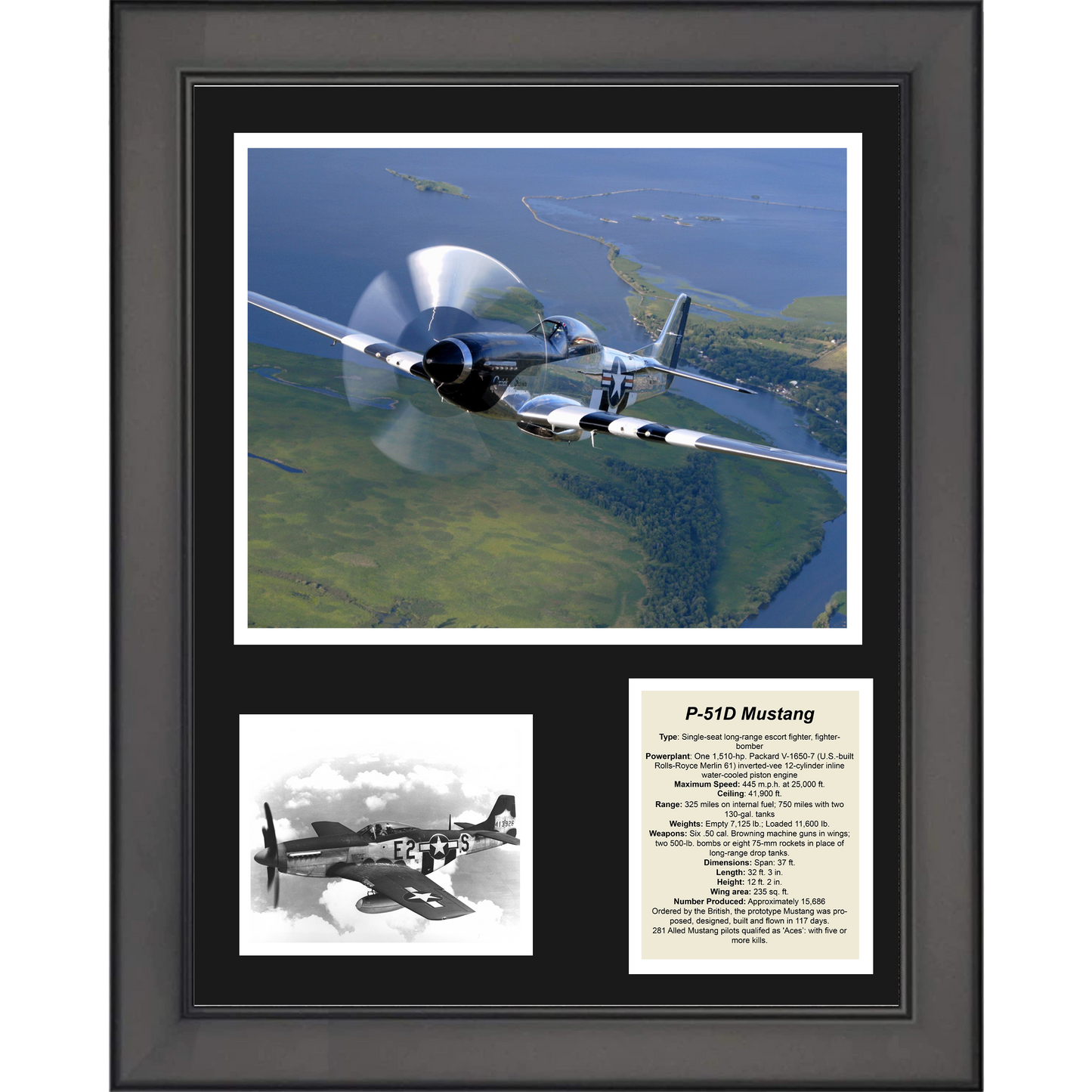 Framed P-51D Mustang Fighter-Bomber Military Aircraft 11"x14" Three Photo Collage