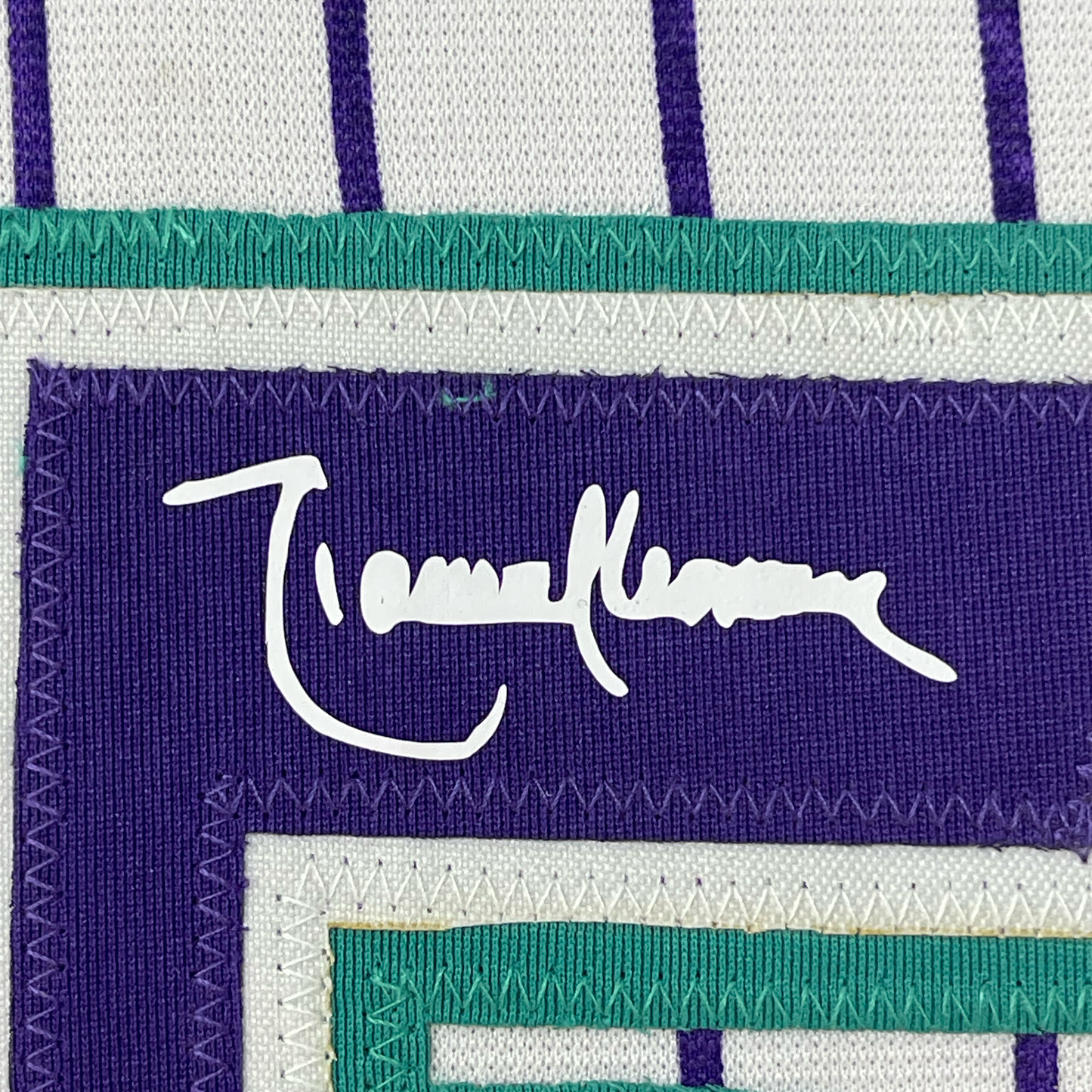 Framed Facsimile Autographed Randy Johnson 35x39 Arizona Pinstripe Reprint Laser Auto Baseball Jersey
