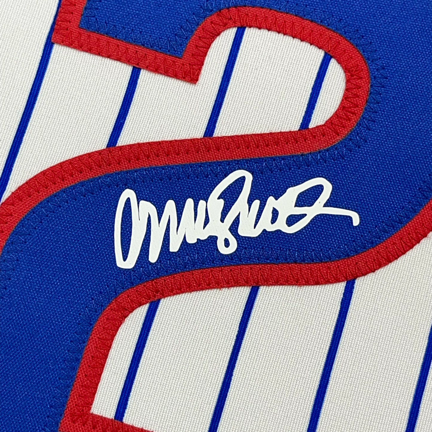 Framed Facsimile Autographed Ryne Sandberg 35x39 Chicago Pinstripe Reprint Laser Auto Baseball Jersey