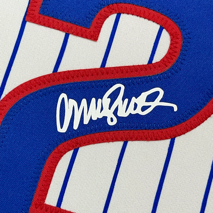 Framed Facsimile Autographed Ryne Sandberg 35x39 Chicago Pinstripe Reprint Laser Auto Baseball Jersey