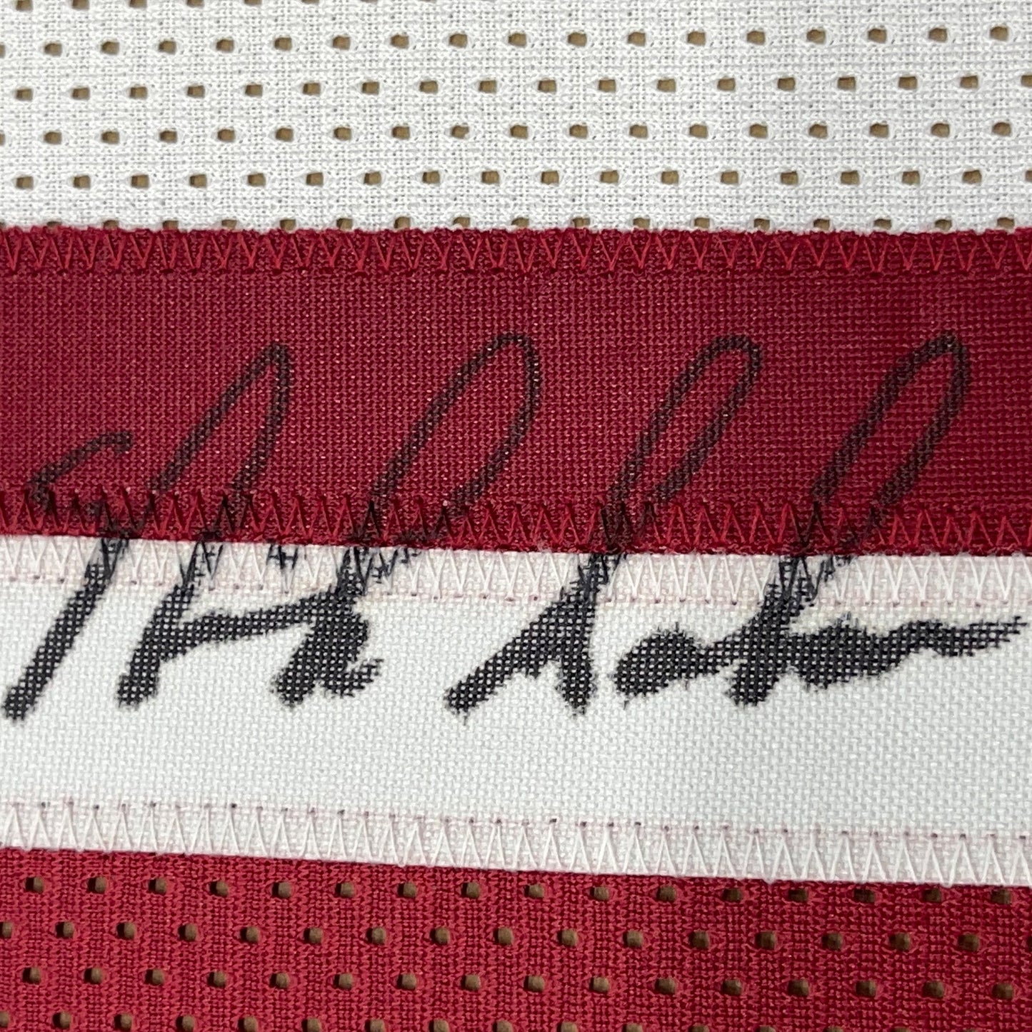 Framed Autographed/Signed Nick Saban 35x39 Alabama Split Pro Cut College Football Jersey PSA/DNA COA
