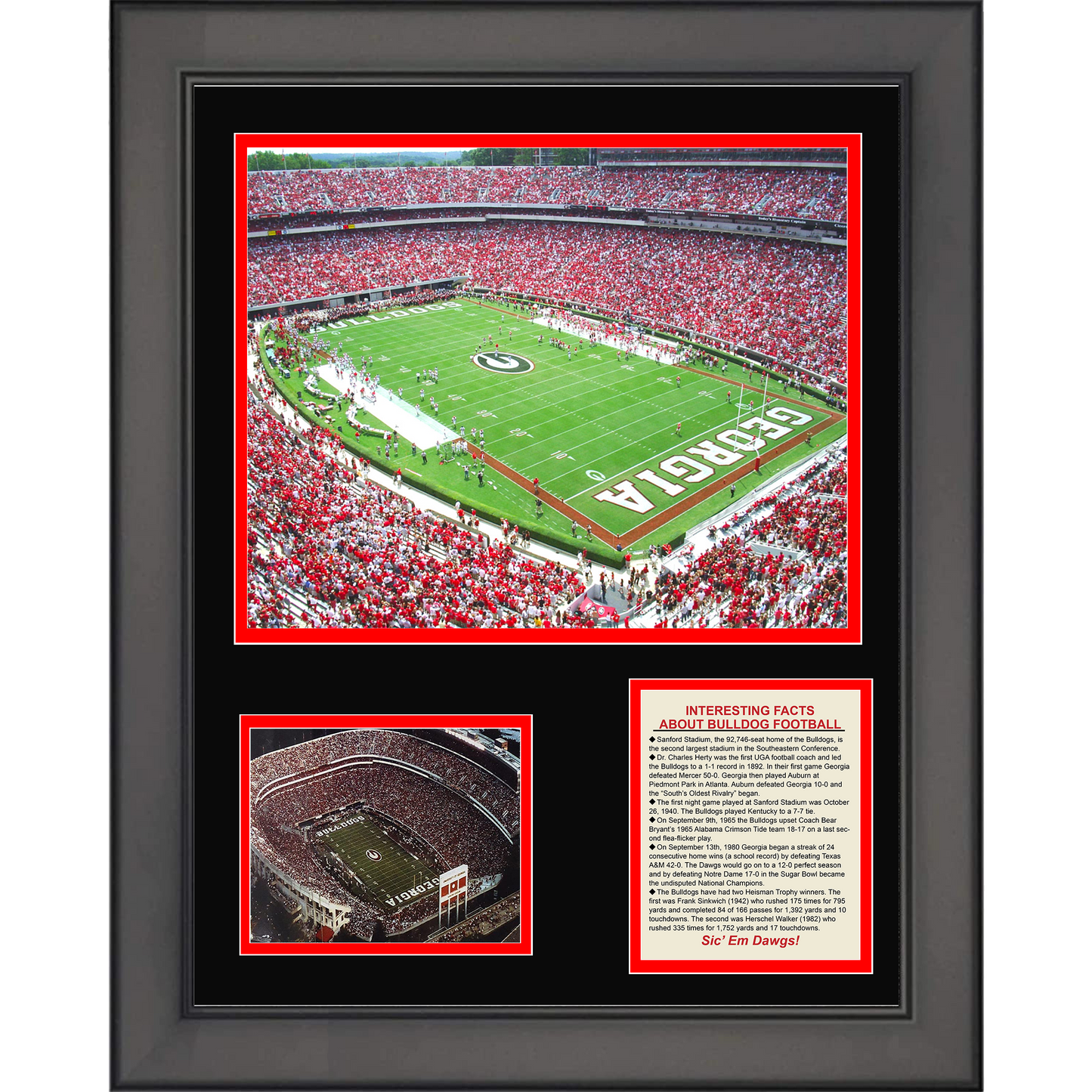 Framed Sanford Stadium Georgia Bulldogs College Football 11"x14"Three Photo Collage