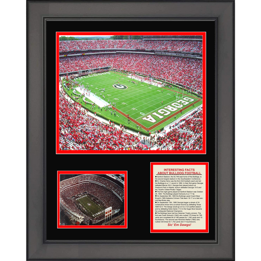 Framed Sanford Stadium Georgia Bulldogs College Football 11"x14"Three Photo Collage