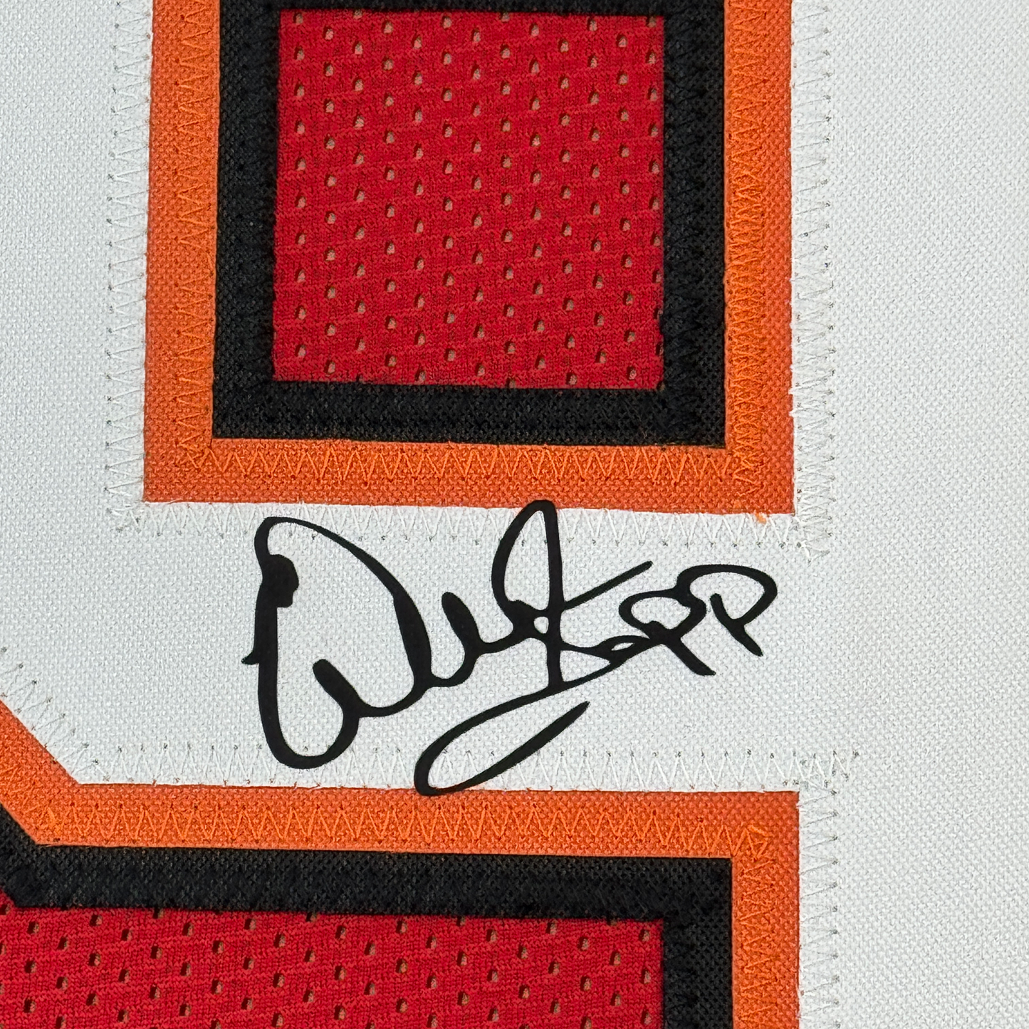 Framed Facsimile Autographed Warren Sapp 35x39 Tampa Bay Red Reprint Laser Auto Football Jersey
