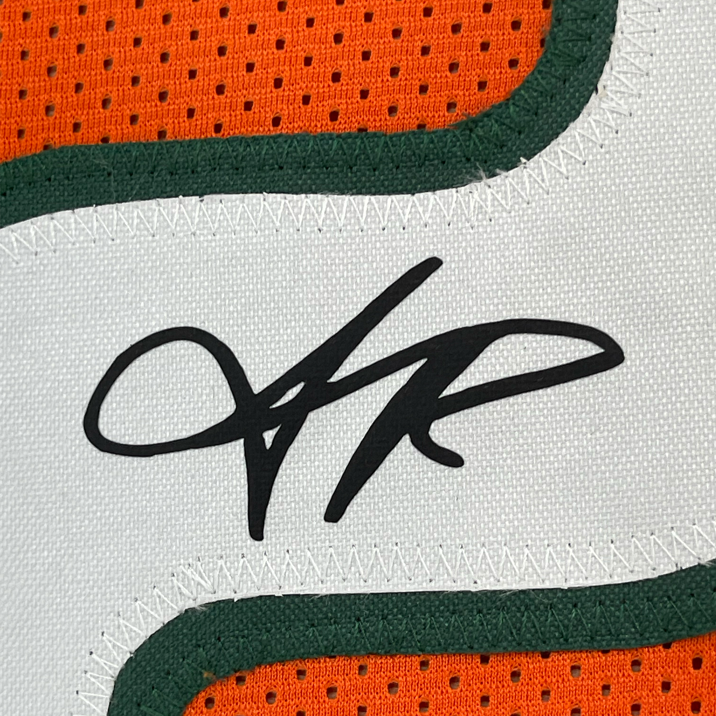 Framed Facsimile Autographed Sean Taylor 35x39 Miami Orange Reprint Laser Auto College Football Jersey