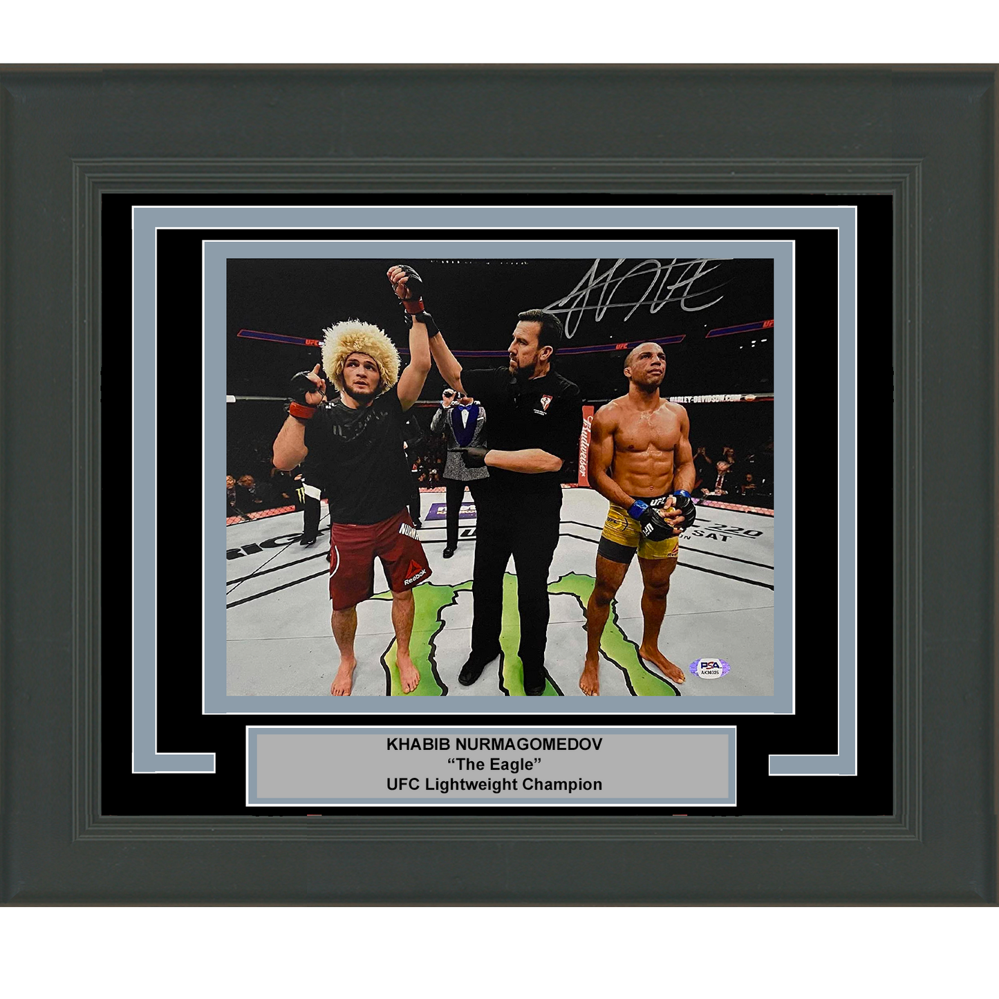 Framed Autographed/Signed Khabib Nurmagomedov UFC MMA Ultimate Fighting 11x14 Photo PSA/DNA COA #2