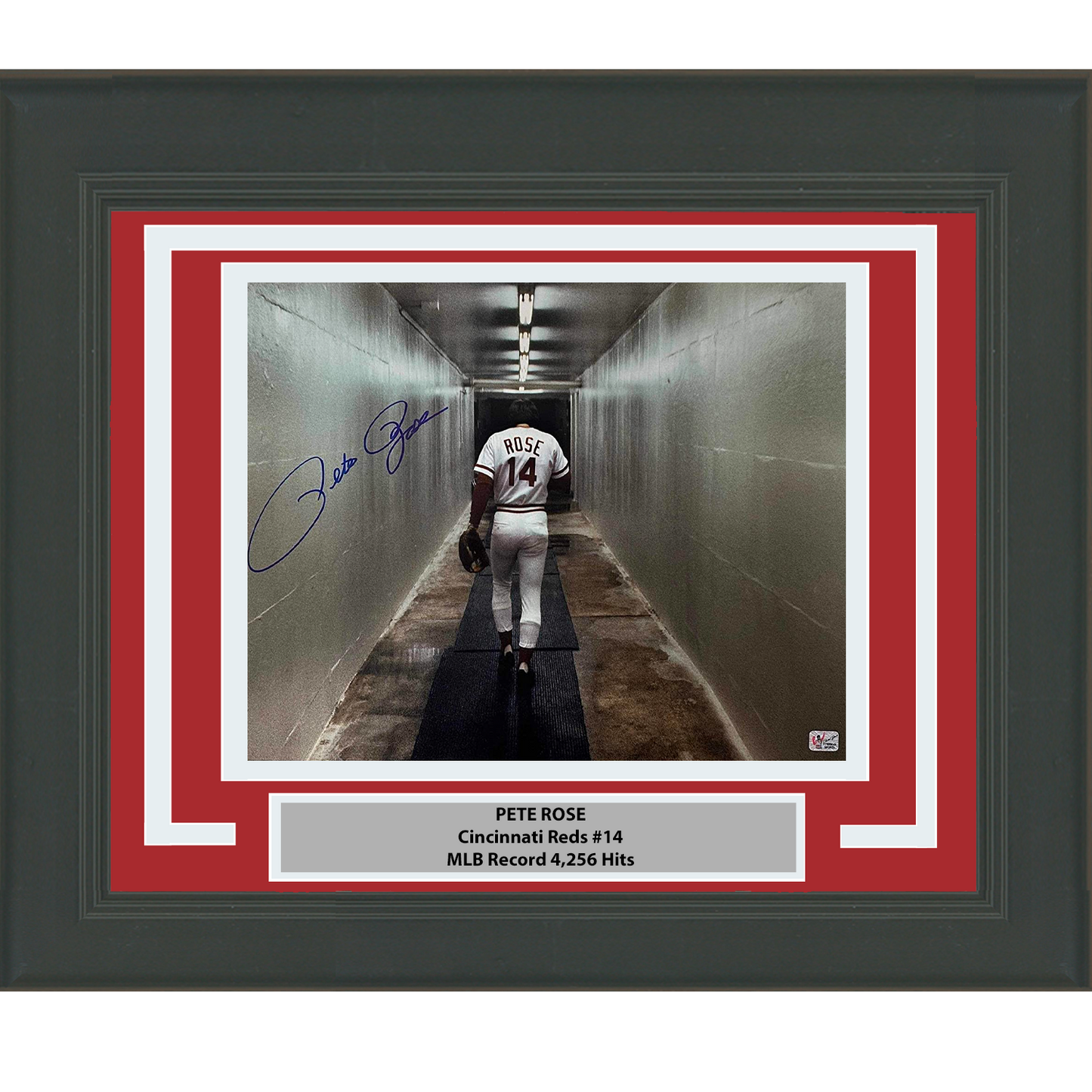 Framed Autographed/Signed Pete Rose Cincinnati Red 16x20 Baseball Photo Athlete Hologram COA Holo #4