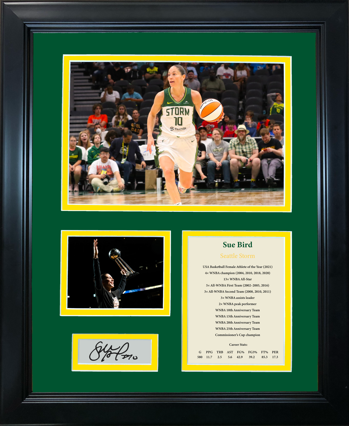 Framed Sue Bird Facsimile Laser Engraved Signature Auto Seattle Storm Basketball 11"x14" Photo Sig Collage