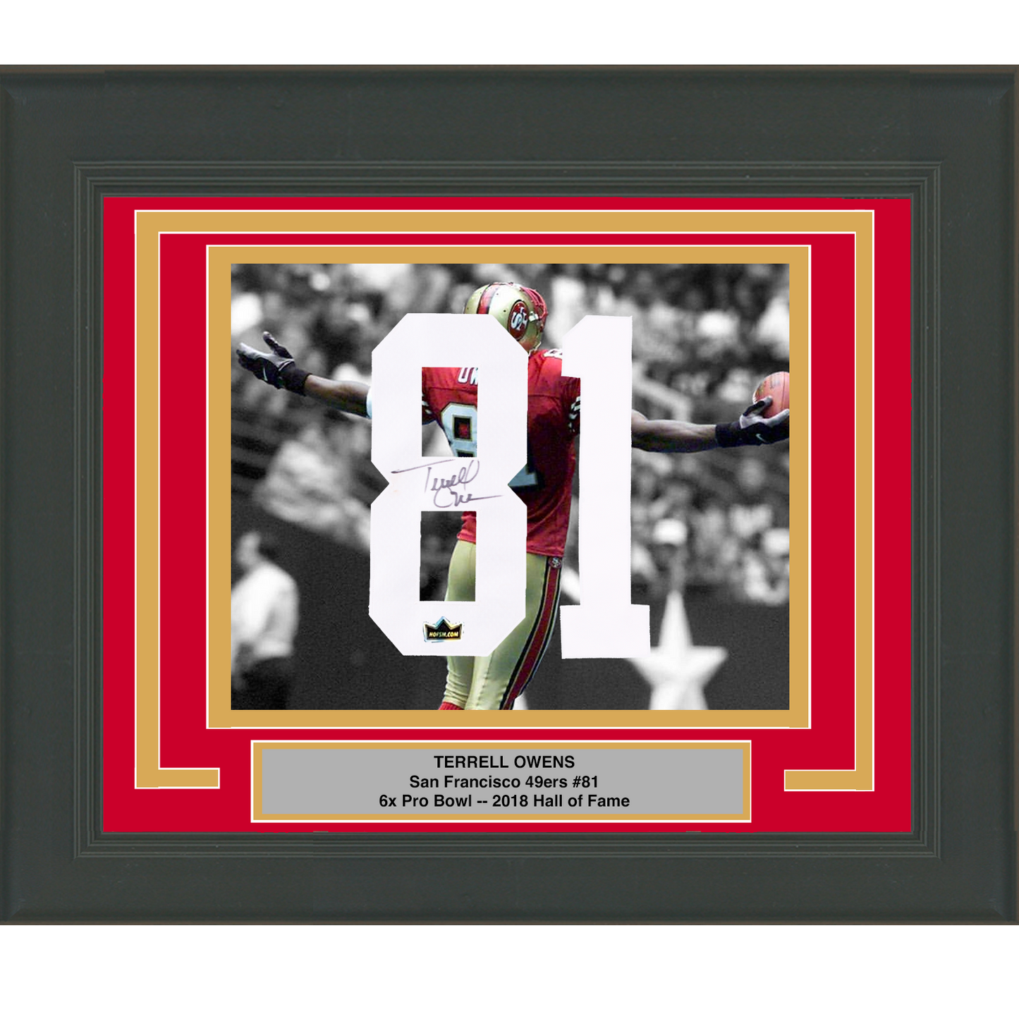 Framed Terrell Owens Facsimile Autographed Jersey Number 23x21 San Francisco 49ers Reprint Laser Auto Football Photo